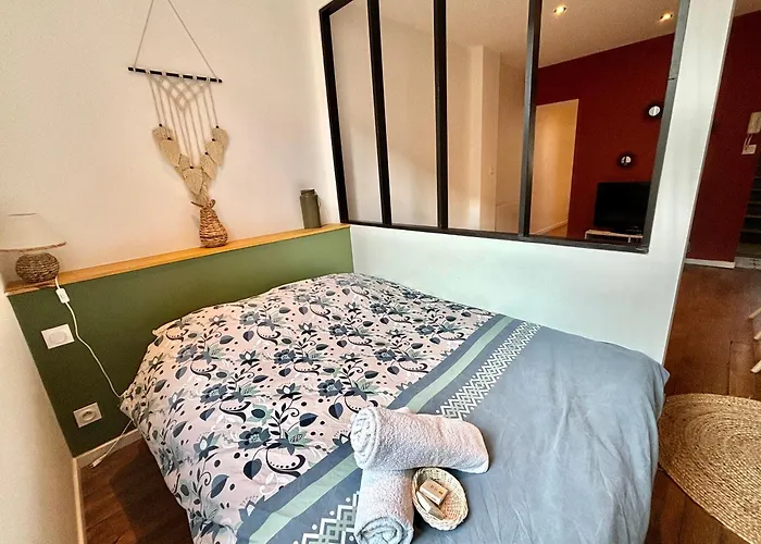 Moulins: Superbe appartement centre ville